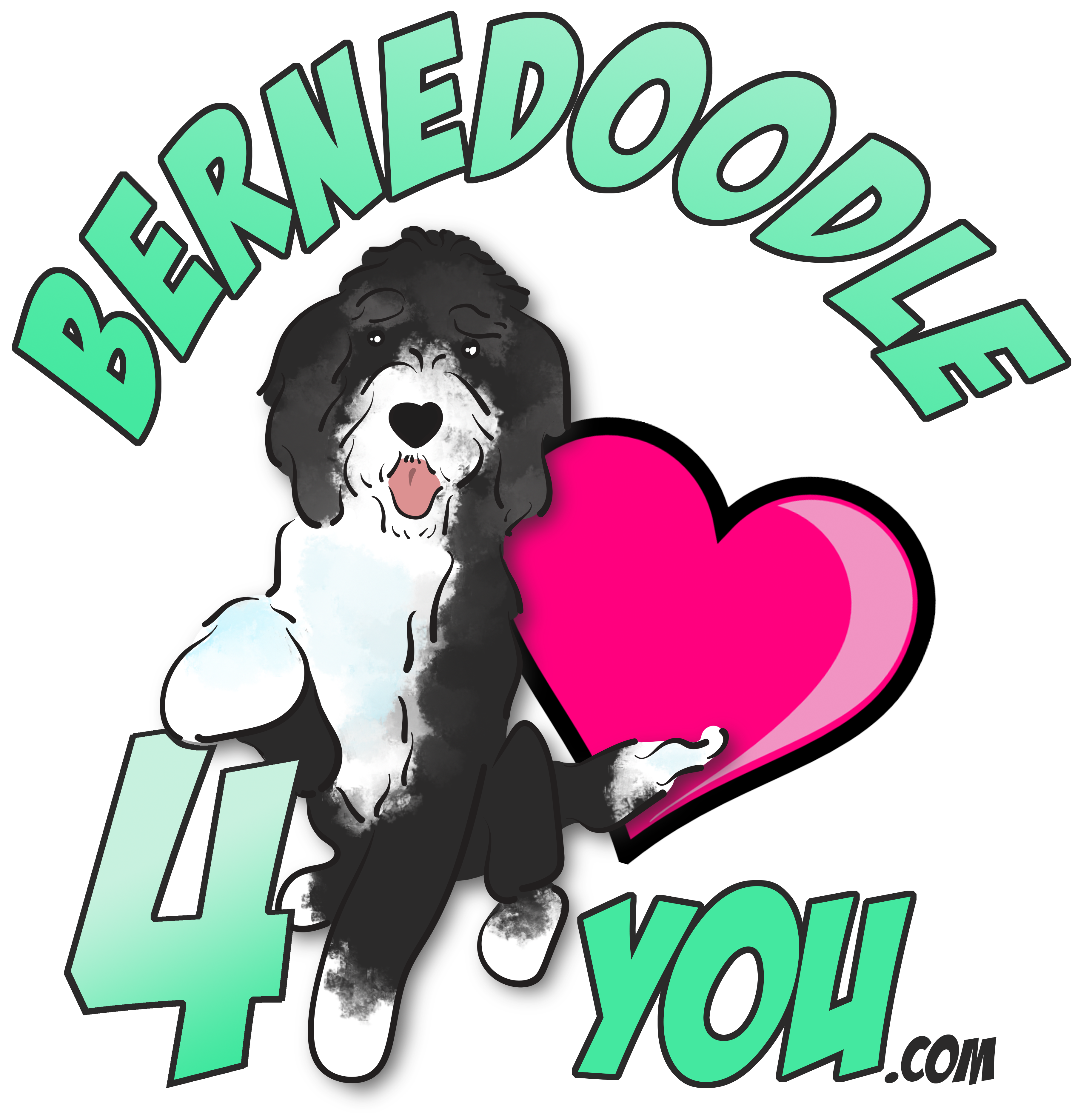 Bernedoodle 4 You!